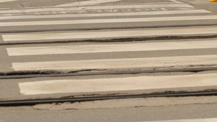 Снимка: БГНЕС, архив