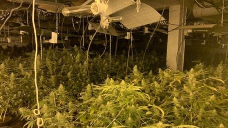 Снимка: МВР