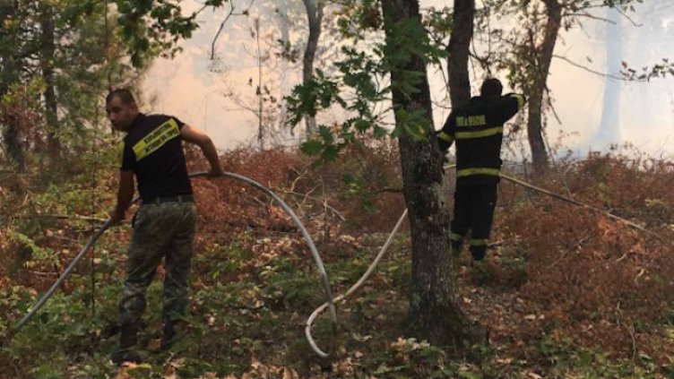 Снимка: БГНЕС