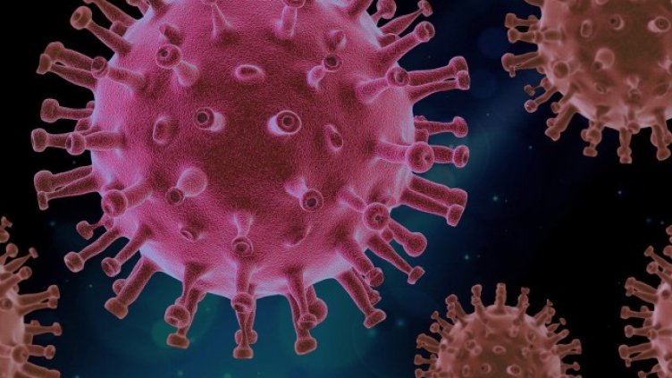 Снимка: Pixabay