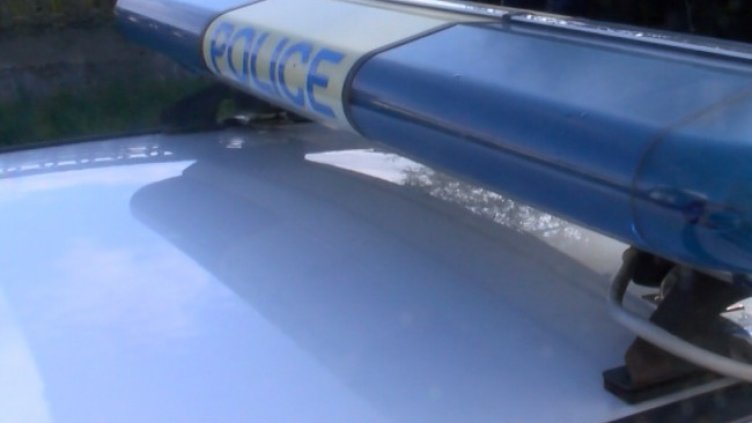 Снимка: архив, БГНЕС