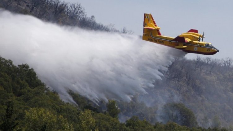 Снимка: БГНЕС