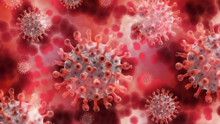 Снимка: Pixabay