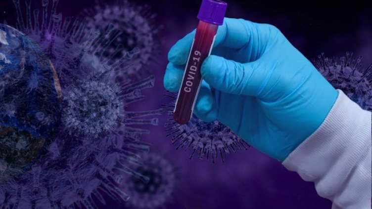 Снимка: Pixabay