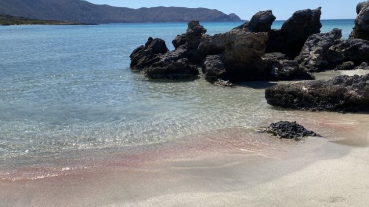 Снимка: БГНЕС, архив