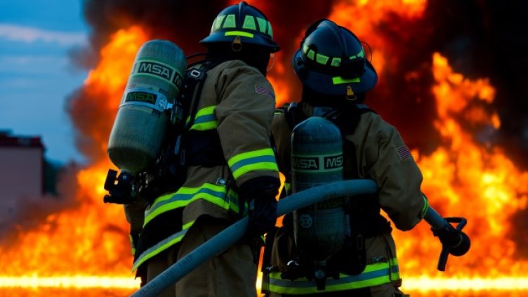 Снимка: Pixabay