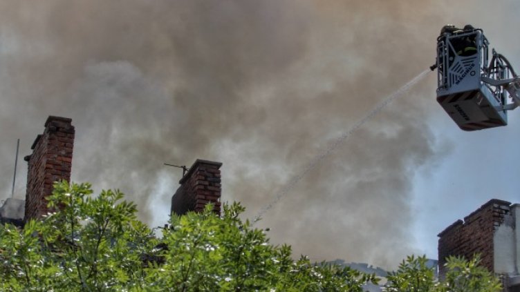 Снимка: Димитър Кьосемарлиев, Dnes.bg