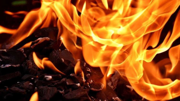 Снимка: Pixabay