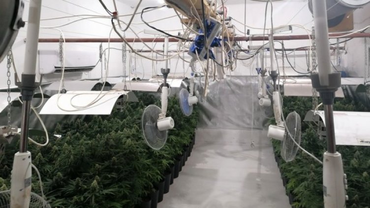 Снимка: МВР