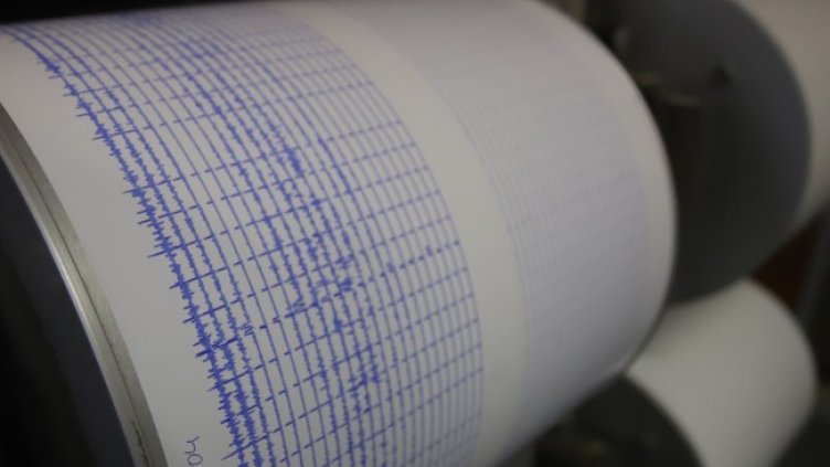 Снимка: архив, БГНЕС