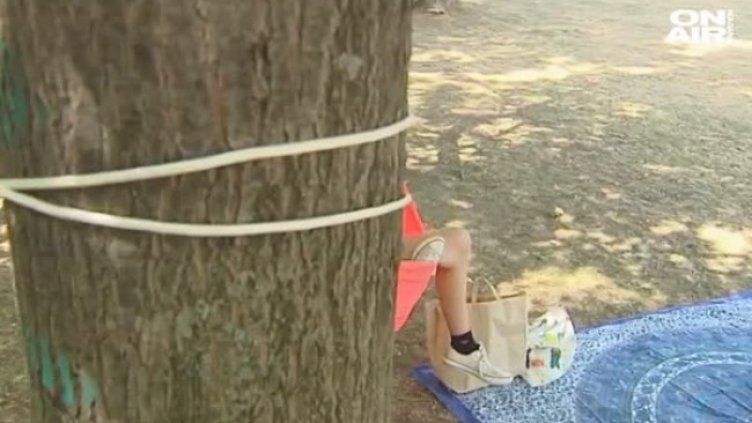 Може ли е да ни глобят за опънат хамак в парка?