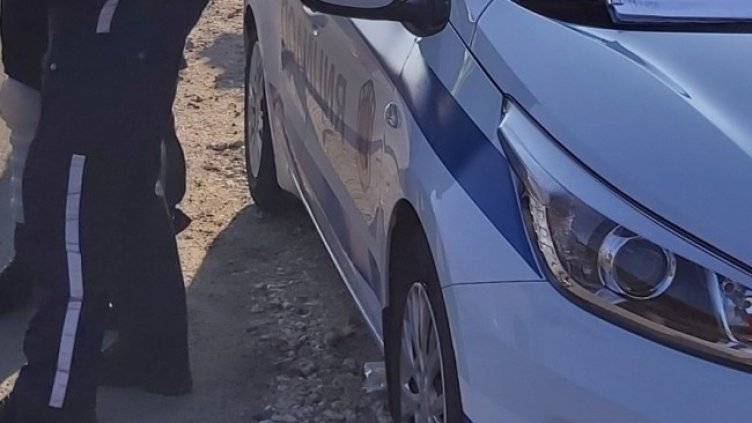 Снимка: архив, БГНЕС