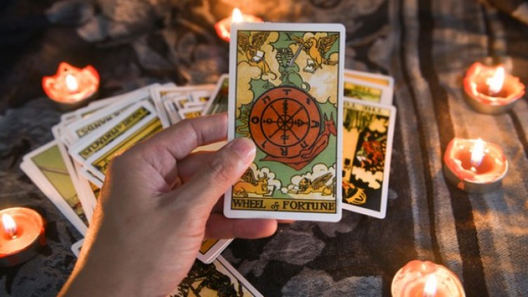 Снимка: Istock