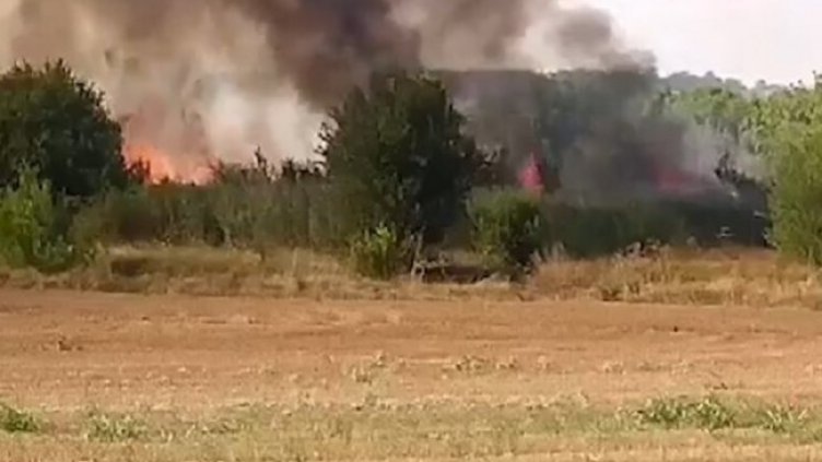 Снимка: БГНЕС