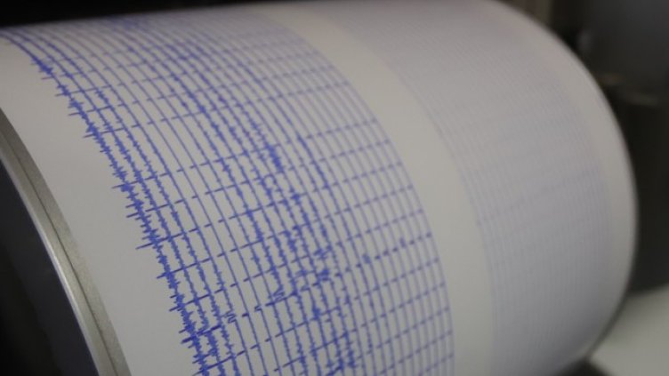 Снимка: архив, БГНЕС