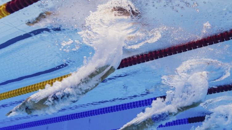 Снимка: архив, БГНЕС