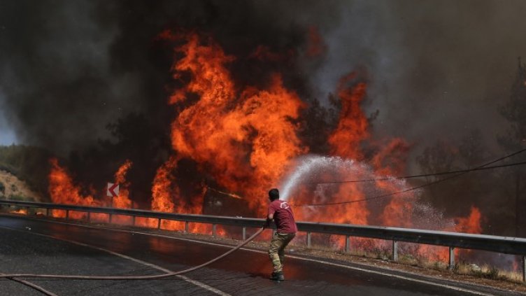 Снимка: БГНЕС