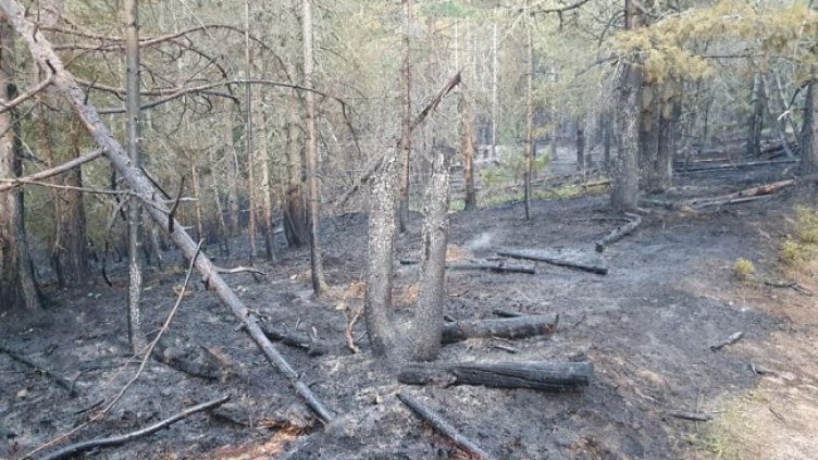 Снимка: Община Сърница