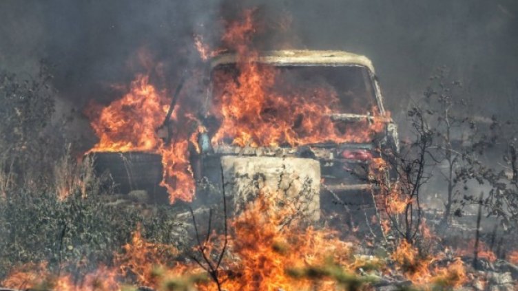 Снимка: Димитър Кьосемарлиев, Dnes.bg