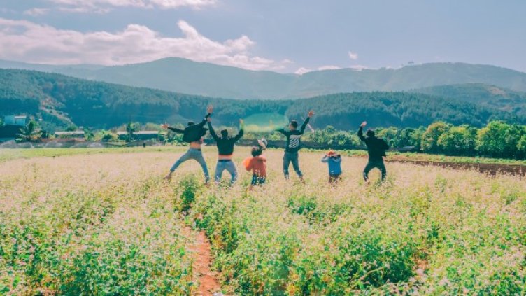 Снимка: Pexels