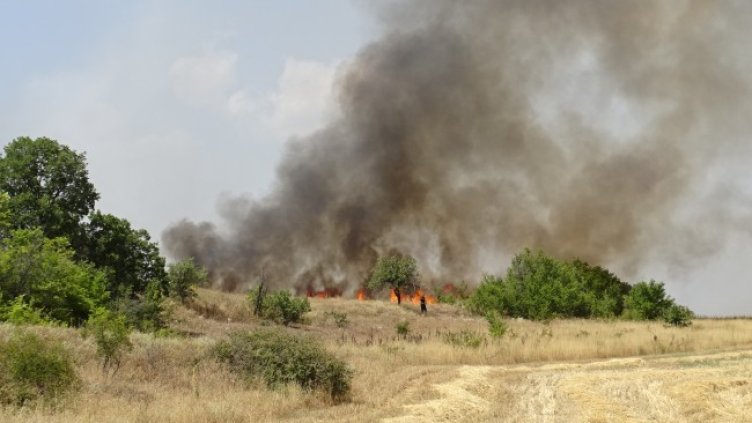 Снимка: БГНЕС