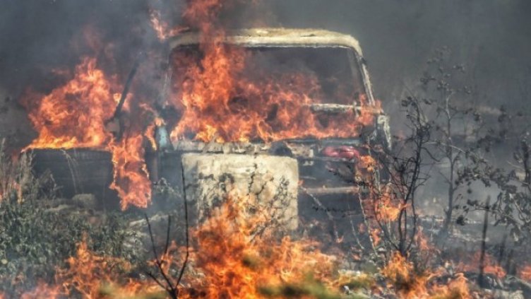 Снимка: Димитър Кьосемарлиев, Dnes.bg