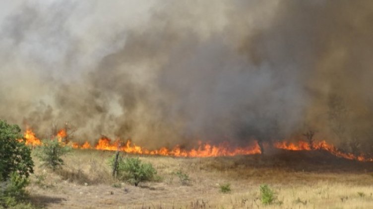 Снимка: БГНЕС