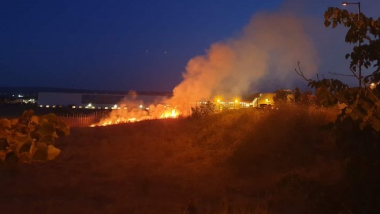 Снимка: Pixabay