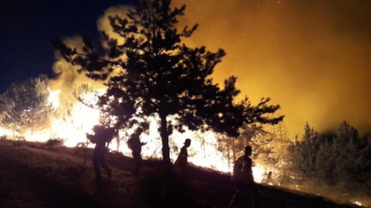 Снимка: БГНЕС