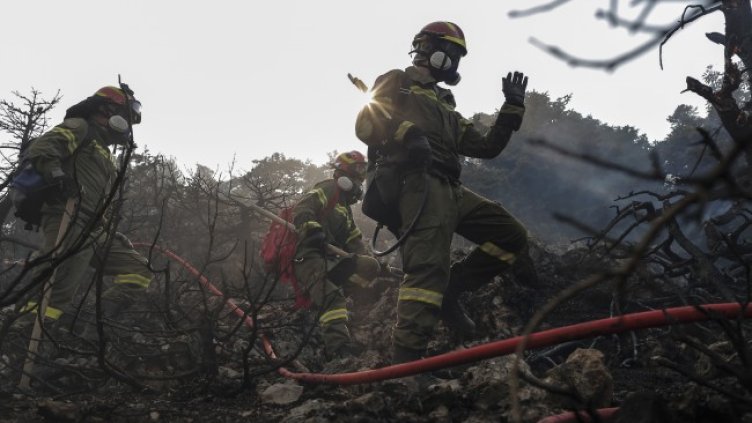 Снимка: БГНЕС