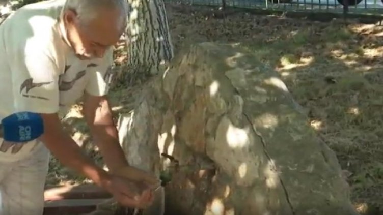 Снимка: Bulgaria ON AIR