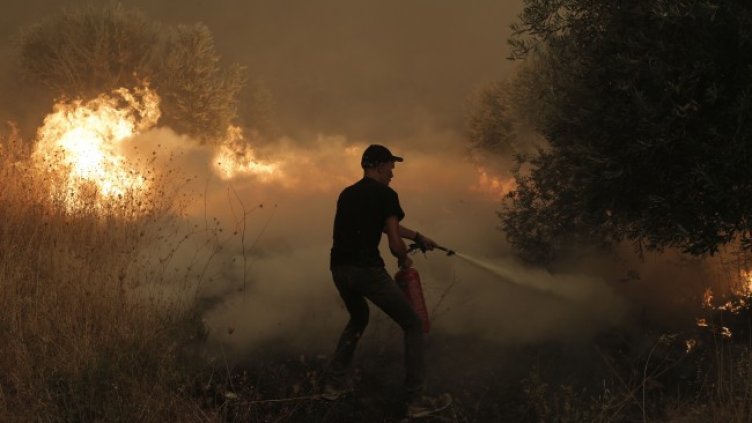 Снимка: БГНЕС