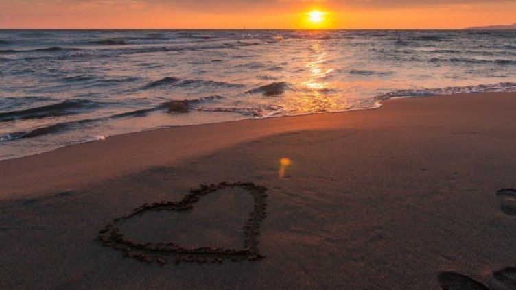 Снимка: Pexels