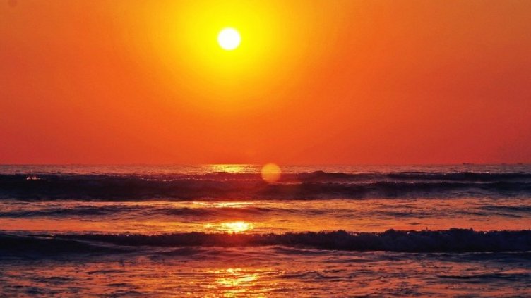 Снимка: Pixabay