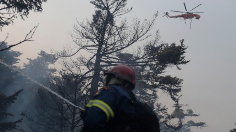 Снимка: БГНЕС