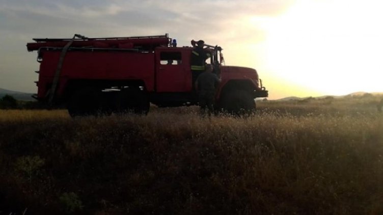 Снимка: БГНЕС