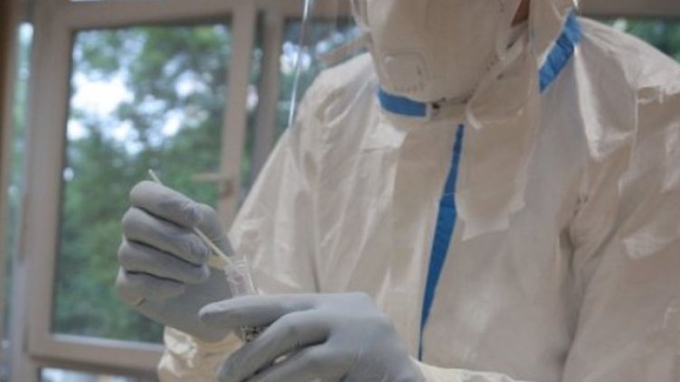 Снимка:Димитър Кьосемарлиев, Dnes.bg