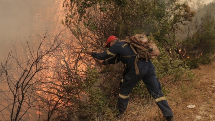 Снимка: архив, БГНЕС