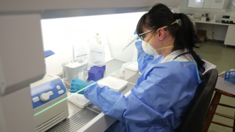 Снимка: Димитър Кьосемарлиев, Dnes.bg