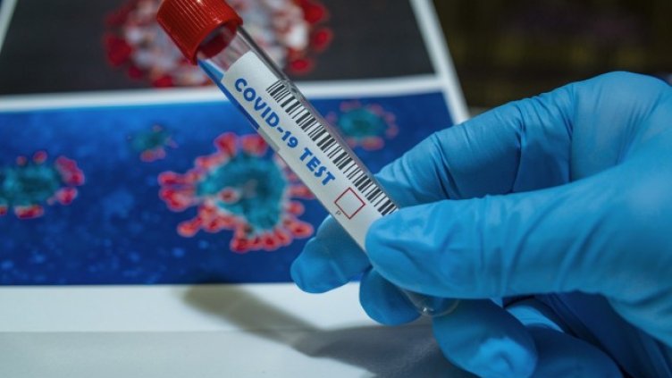 Снимка: Pixabay