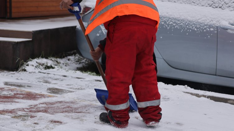 Снимка: БГНЕС