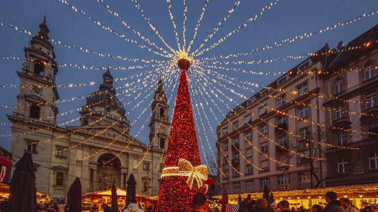 Снимка: Istock