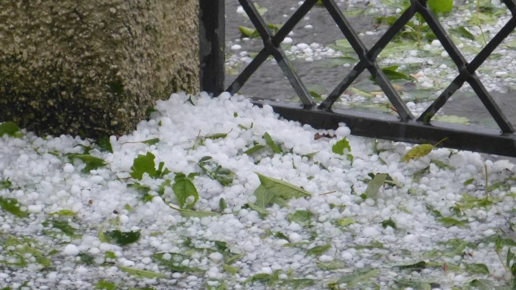 Снимка: Пиксабей