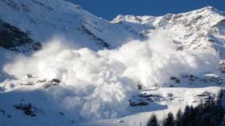 Снимка Пиксабей