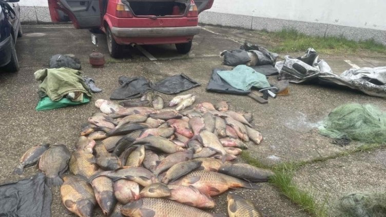 Снимка ИАРА