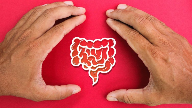 Акермансия: Защо учените я свързват с теглото и кръвната захар?