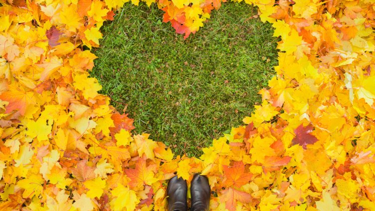 Снимка: iStock/FotoDuets