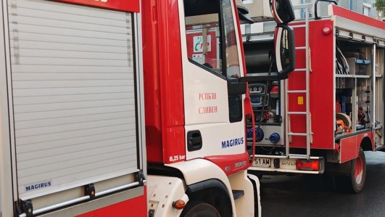 Снимка: архив, БГНЕС