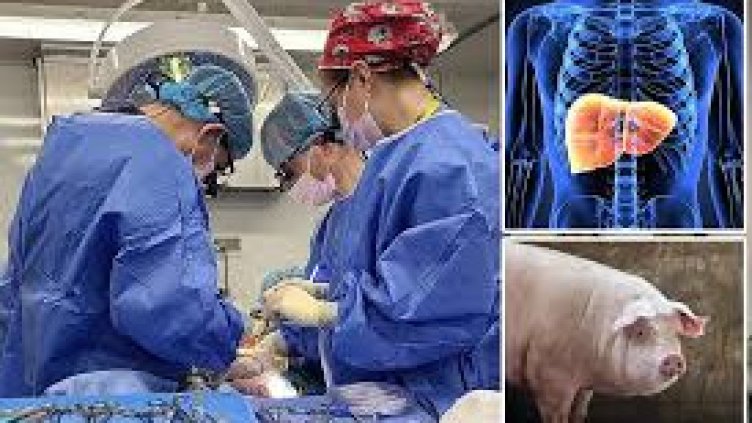 Снимка Инстаграм