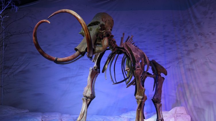 Снимка: Jens Hummelmose от Pixabay